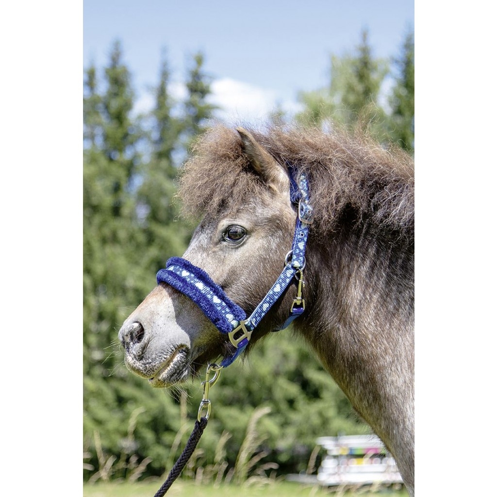 Kantar HKM Heart niebieski Pony