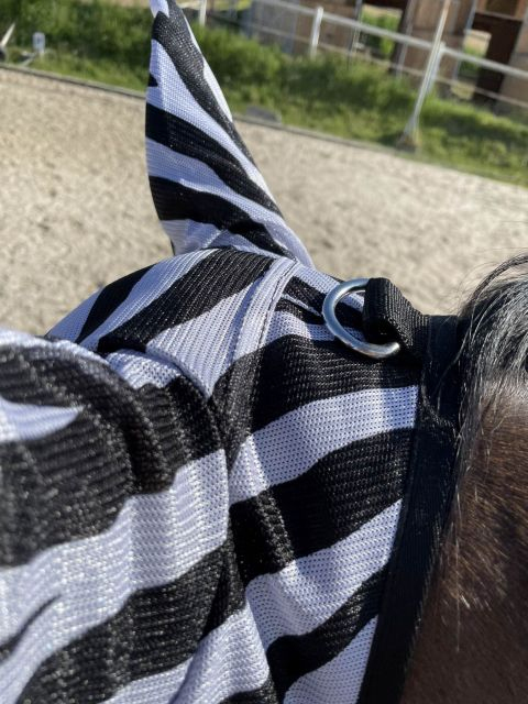 Moskitiera Start Zebra Pony