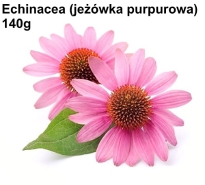 Echinacea jeżówka purpurowa 140g